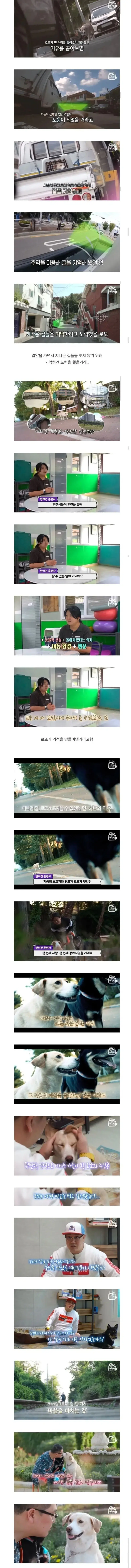 광명에서-유명한-강아지-4-이미지