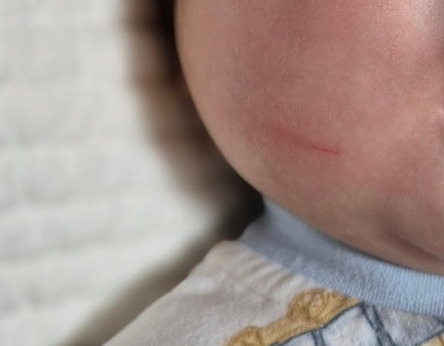 "아기-줄-떡국"-다정한-SNS-사진-속-반전...엄마의-아동학대-딱-걸렸다-1-이미지