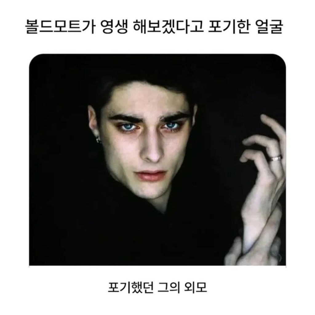 볼드모트가-영생-해보겠다고-포기한-얼굴-3-이미지