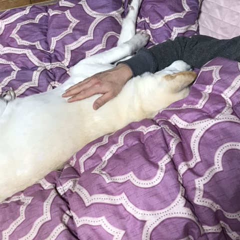 우리-애-아빠-보는-눈빛-봐-6-이미지