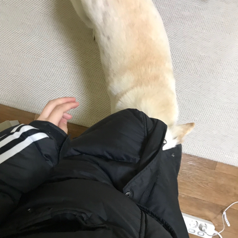 우리-애-아빠-보는-눈빛-봐-20-이미지