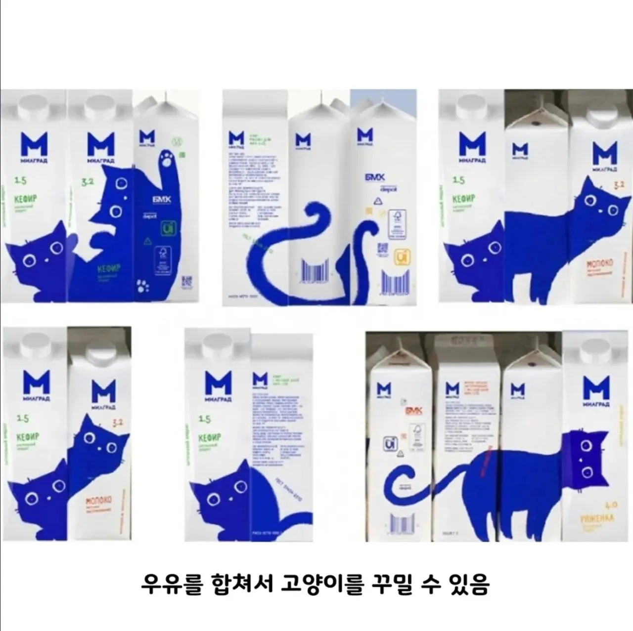 우유갑으로-디자인상-받은-제품-3-이미지