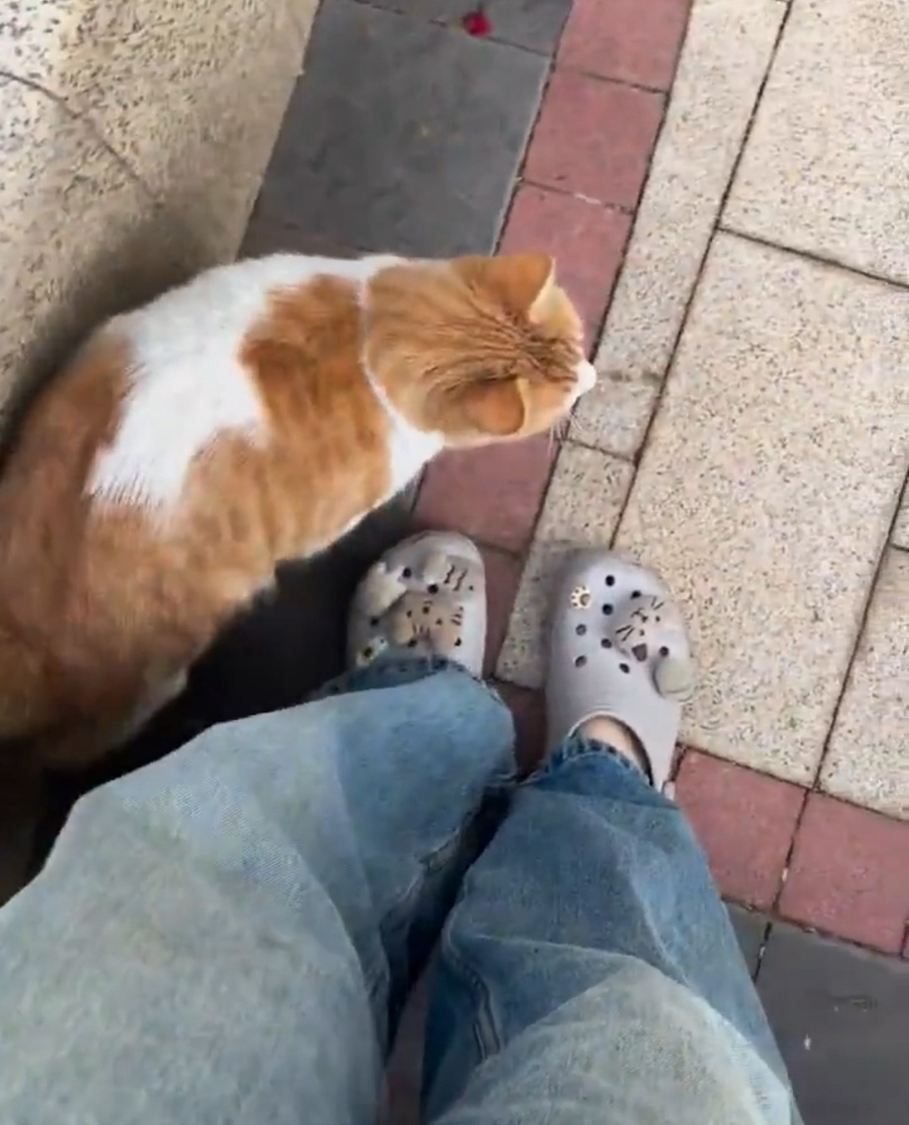 내-인생의-곤란함은-이런-것만-있었으면-좋겠다-0-이미지