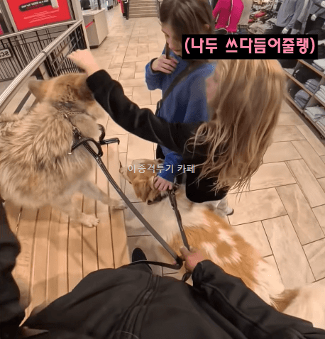 멍멍이-만져도-되냐고-물어보는-아이들-1-이미지