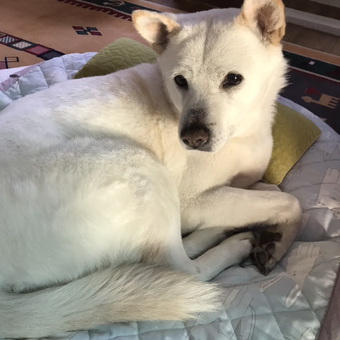 우리-애-아빠-보는-눈빛-봐-61-이미지