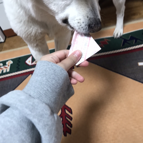 우리-애-아빠-보는-눈빛-봐-75-이미지