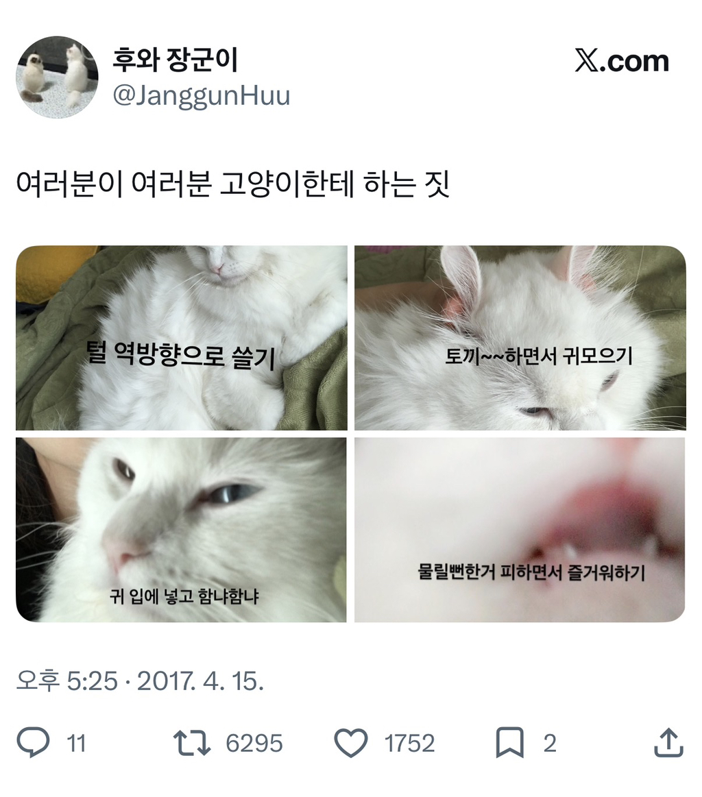집사들이-평소-고양이한테-하는-짓.twt-0-이미지