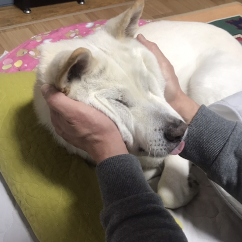 우리-애-아빠-보는-눈빛-봐-41-이미지