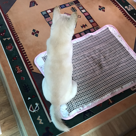 우리-애-아빠-보는-눈빛-봐-30-이미지