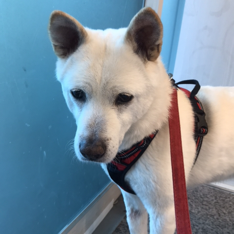 우리-애-아빠-보는-눈빛-봐-11-이미지