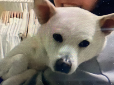 우리-애-아빠-보는-눈빛-봐-59-이미지