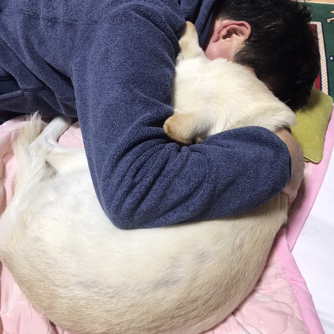 우리-애-아빠-보는-눈빛-봐-8-이미지