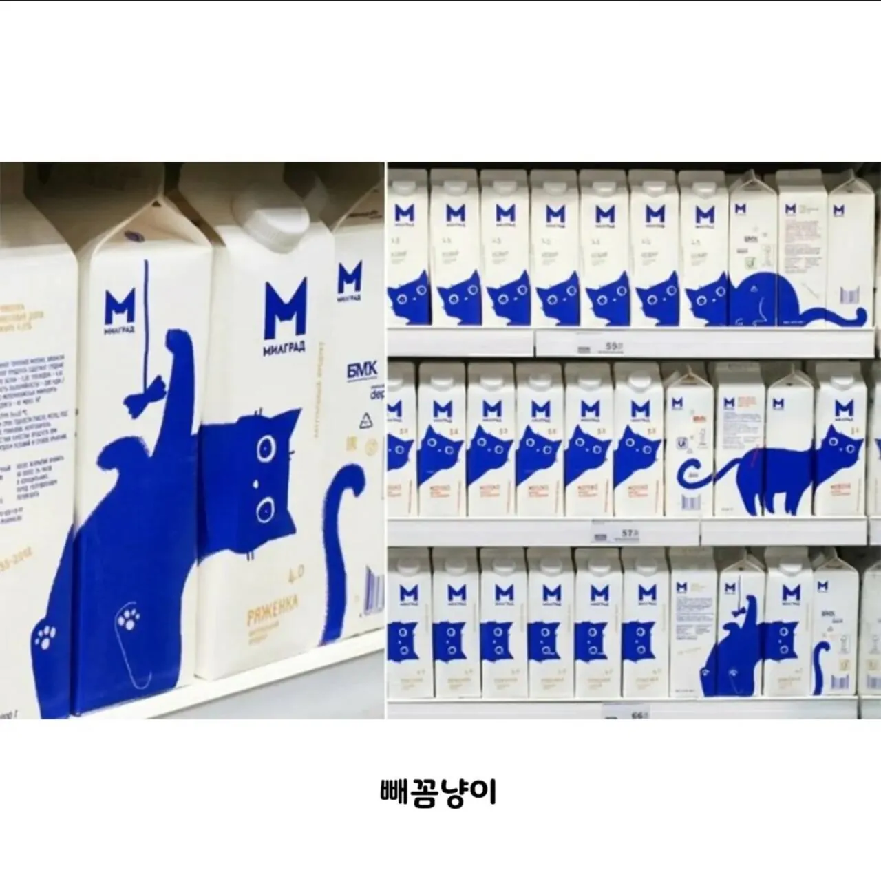 우유갑으로-디자인상-받은-제품-4-이미지