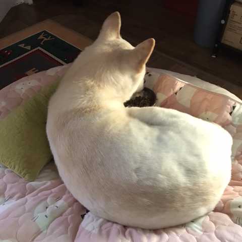 우리-애-아빠-보는-눈빛-봐-66-이미지