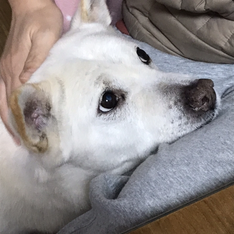 우리-애-아빠-보는-눈빛-봐-27-이미지