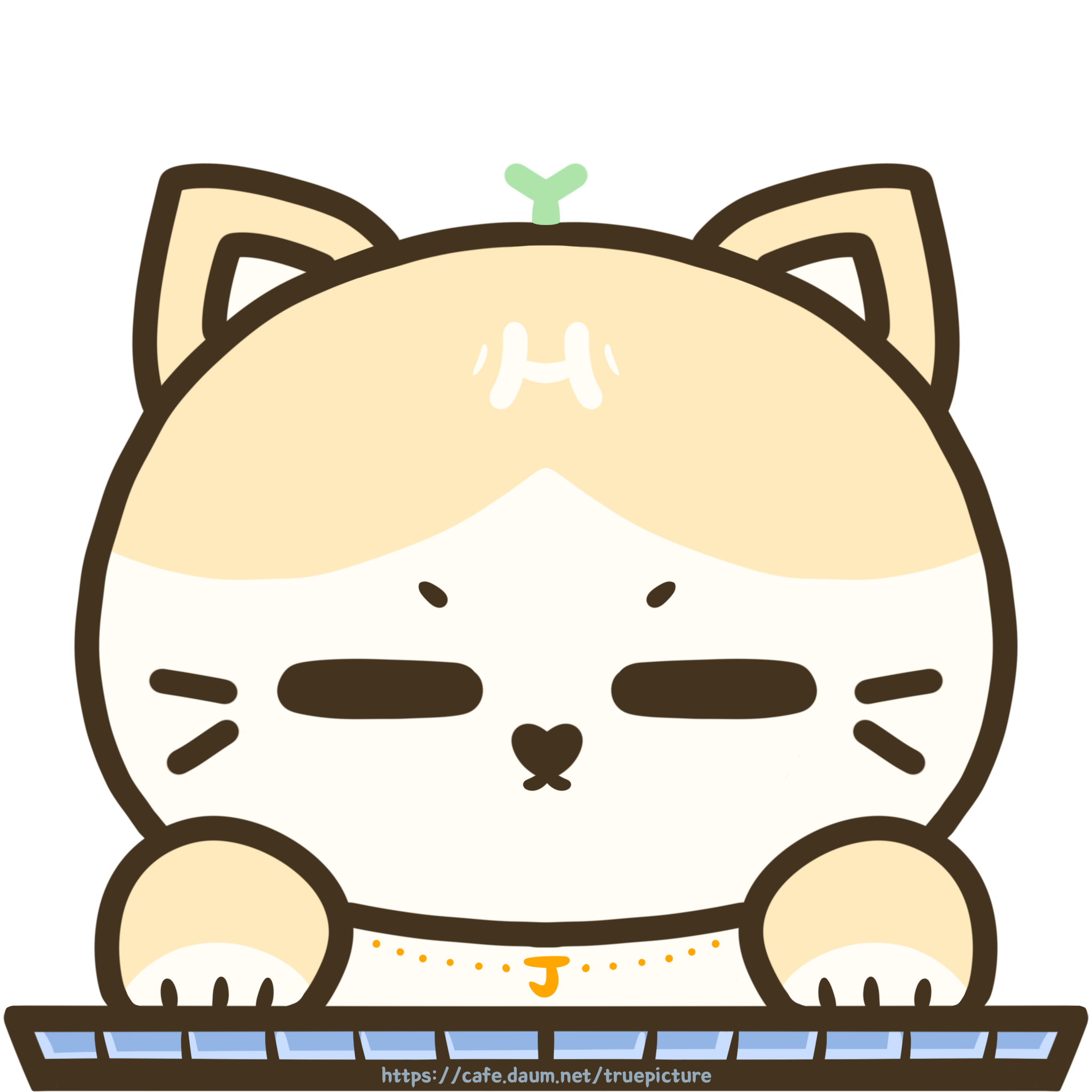 남녀-바지-주머니-크기차이-0-이미지