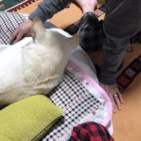 우리-애-아빠-보는-눈빛-봐-4-이미지