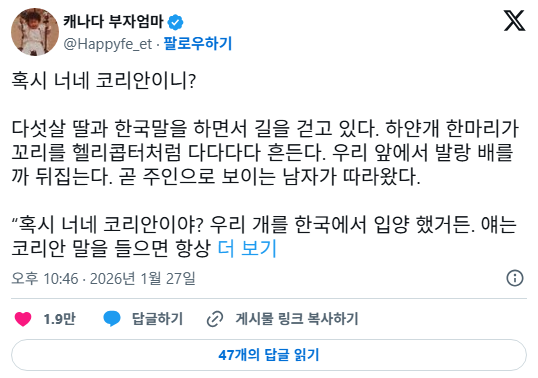 미국에서-진도-입양한-사람들-이야기보면-산책하다가-동아시아여자-보면-빤히-쳐다보는-경우-많다함-0-이미지