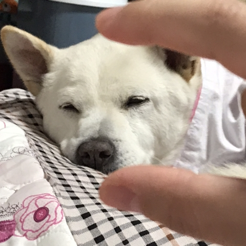 우리-애-아빠-보는-눈빛-봐-31-이미지