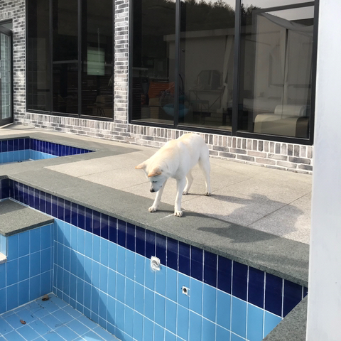 우리-애-아빠-보는-눈빛-봐-54-이미지