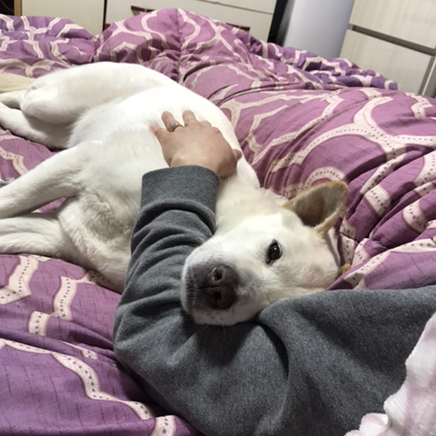 우리-애-아빠-보는-눈빛-봐-40-이미지