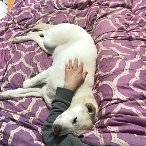 우리-애-아빠-보는-눈빛-봐-38-이미지