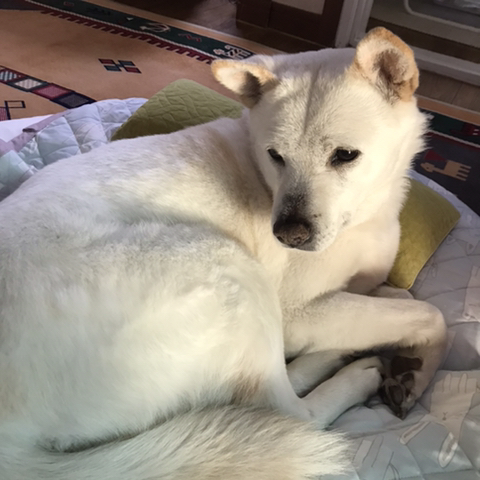 우리-애-아빠-보는-눈빛-봐-60-이미지