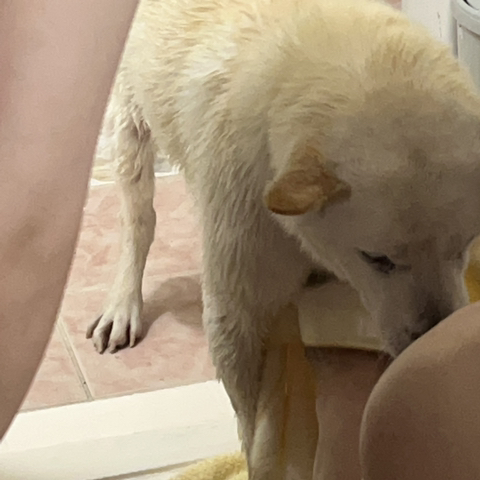 우리-애-아빠-보는-눈빛-봐-93-이미지