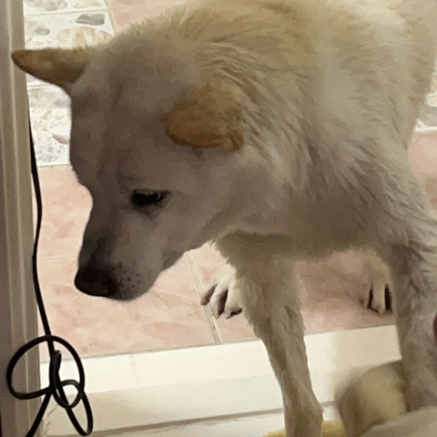 우리-애-아빠-보는-눈빛-봐-94-이미지