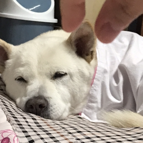 우리-애-아빠-보는-눈빛-봐-32-이미지