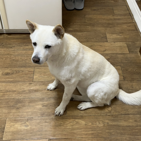 우리-애-아빠-보는-눈빛-봐-82-이미지