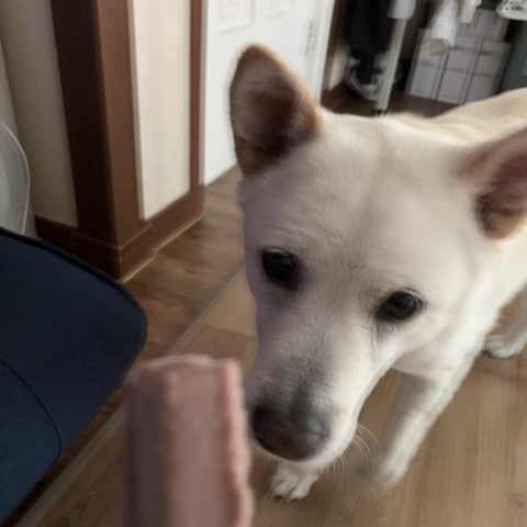 우리-애-아빠-보는-눈빛-봐-89-이미지