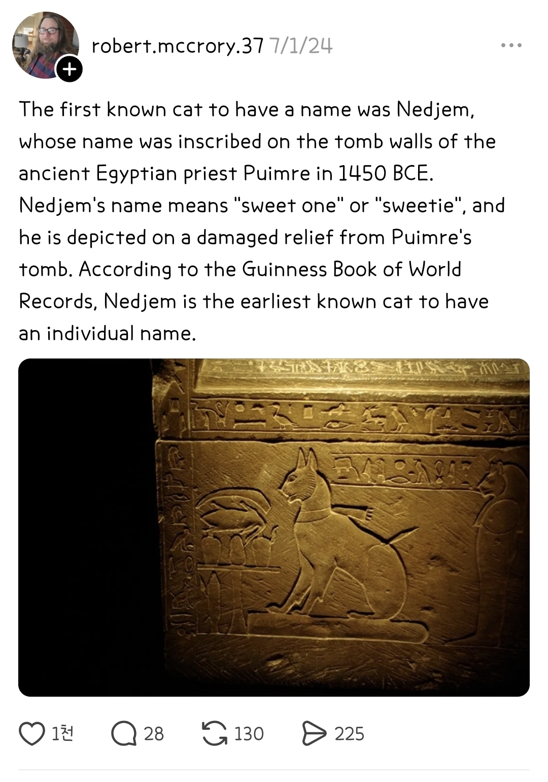 인류-역사상-가장-오래된-고양이의-이름-2-이미지