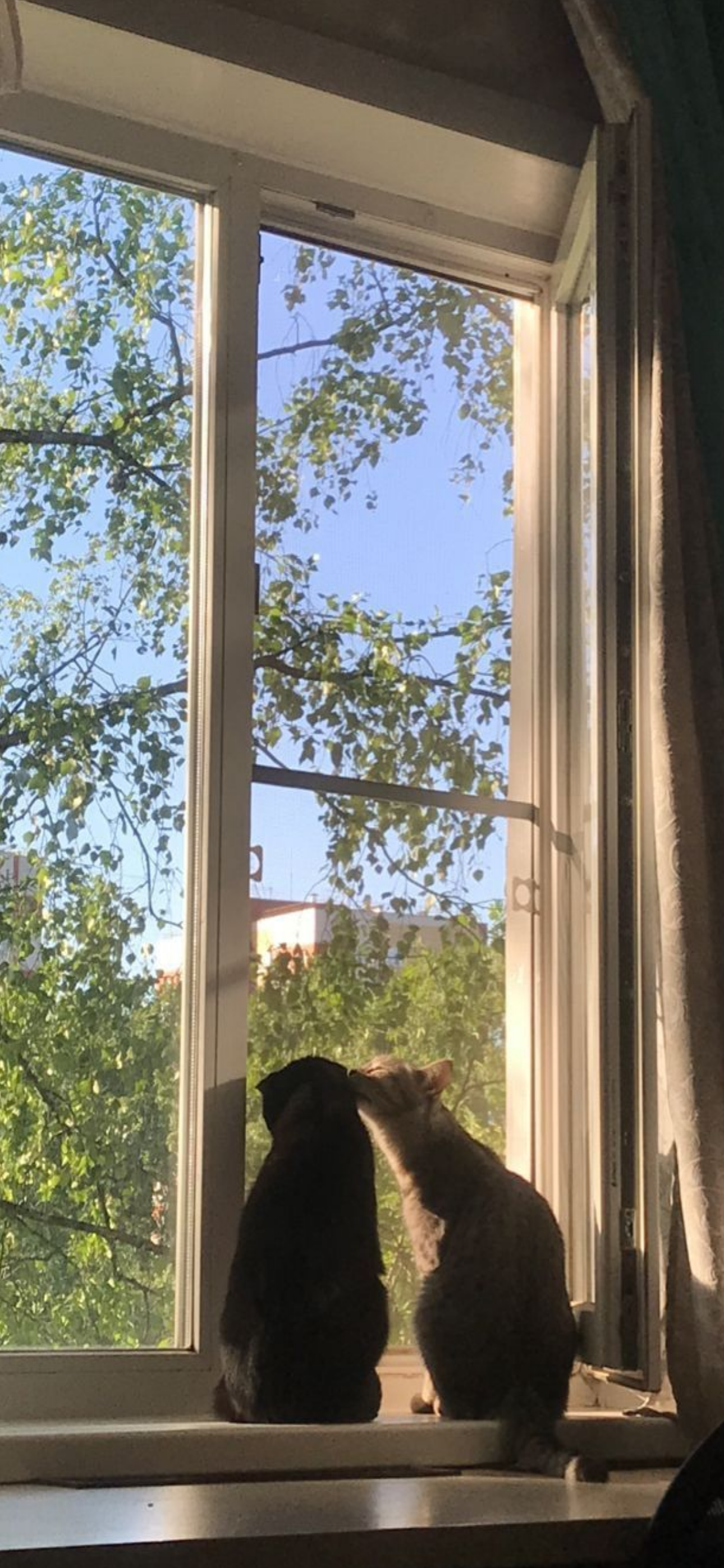 내가-쓰려고-만든-3월-달력-배경화면-43-이미지