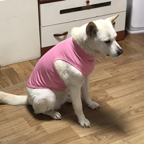 우리-애-아빠-보는-눈빛-봐-78-이미지