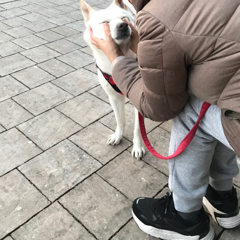 우리-애-아빠-보는-눈빛-봐-58-이미지