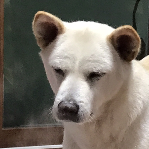 우리-애-아빠-보는-눈빛-봐-19-이미지