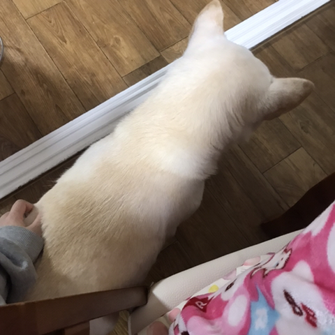 우리-애-아빠-보는-눈빛-봐-36-이미지