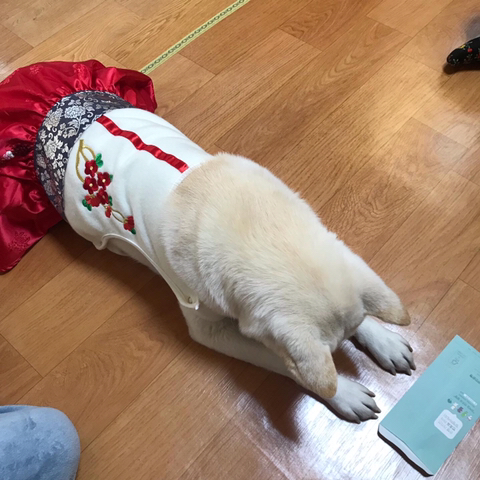 우리-애-아빠-보는-눈빛-봐-15-이미지