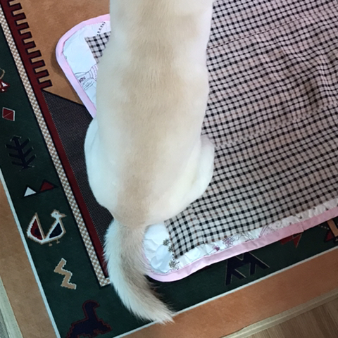 우리-애-아빠-보는-눈빛-봐-29-이미지