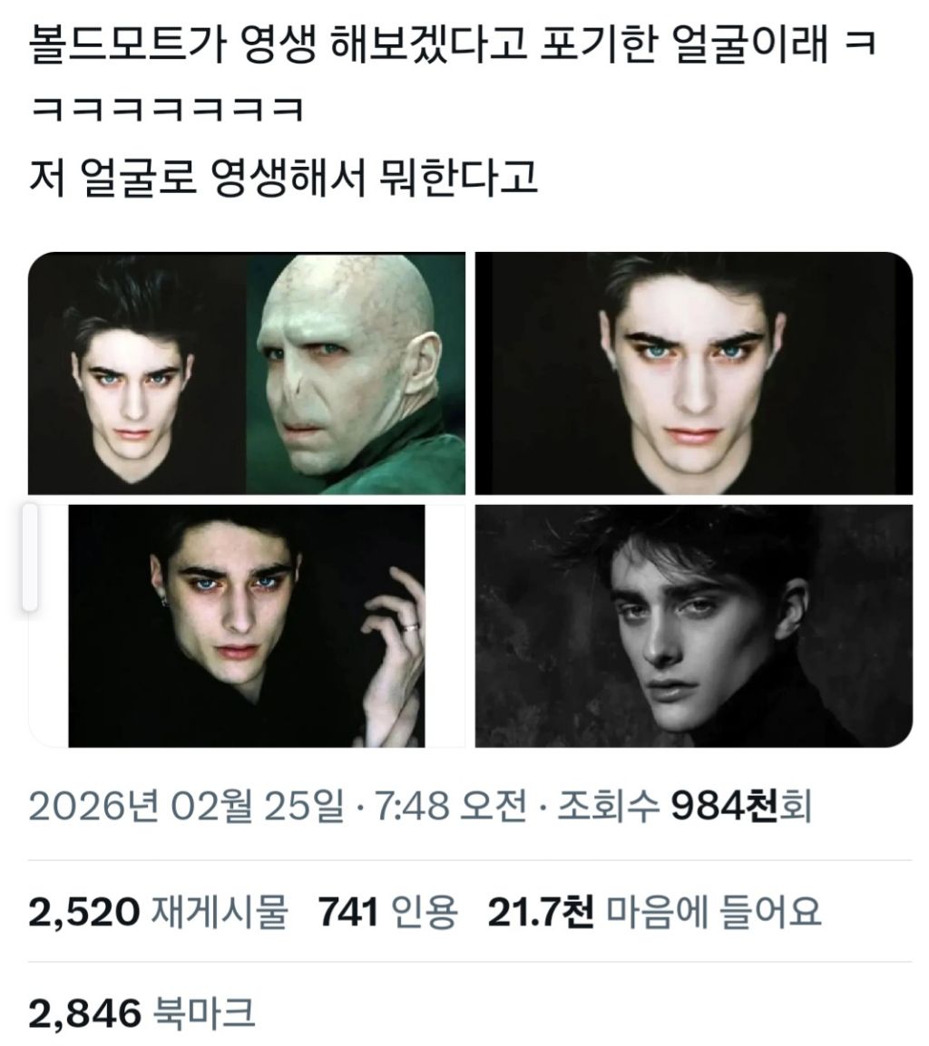 볼드모트가-영생-해보겠다고-포기한-얼굴-0-이미지