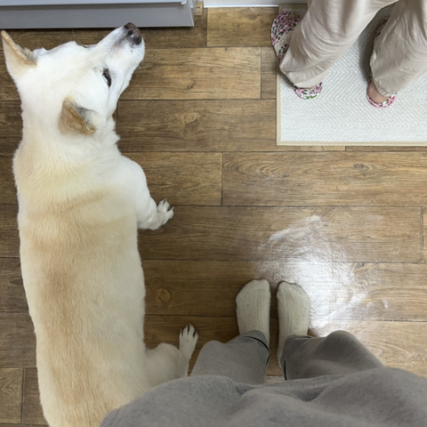 우리-애-아빠-보는-눈빛-봐-81-이미지