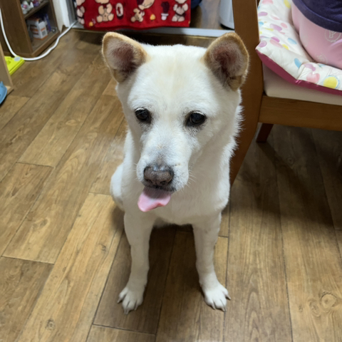 우리-애-아빠-보는-눈빛-봐-98-이미지