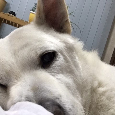 우리-애-아빠-보는-눈빛-봐-33-이미지