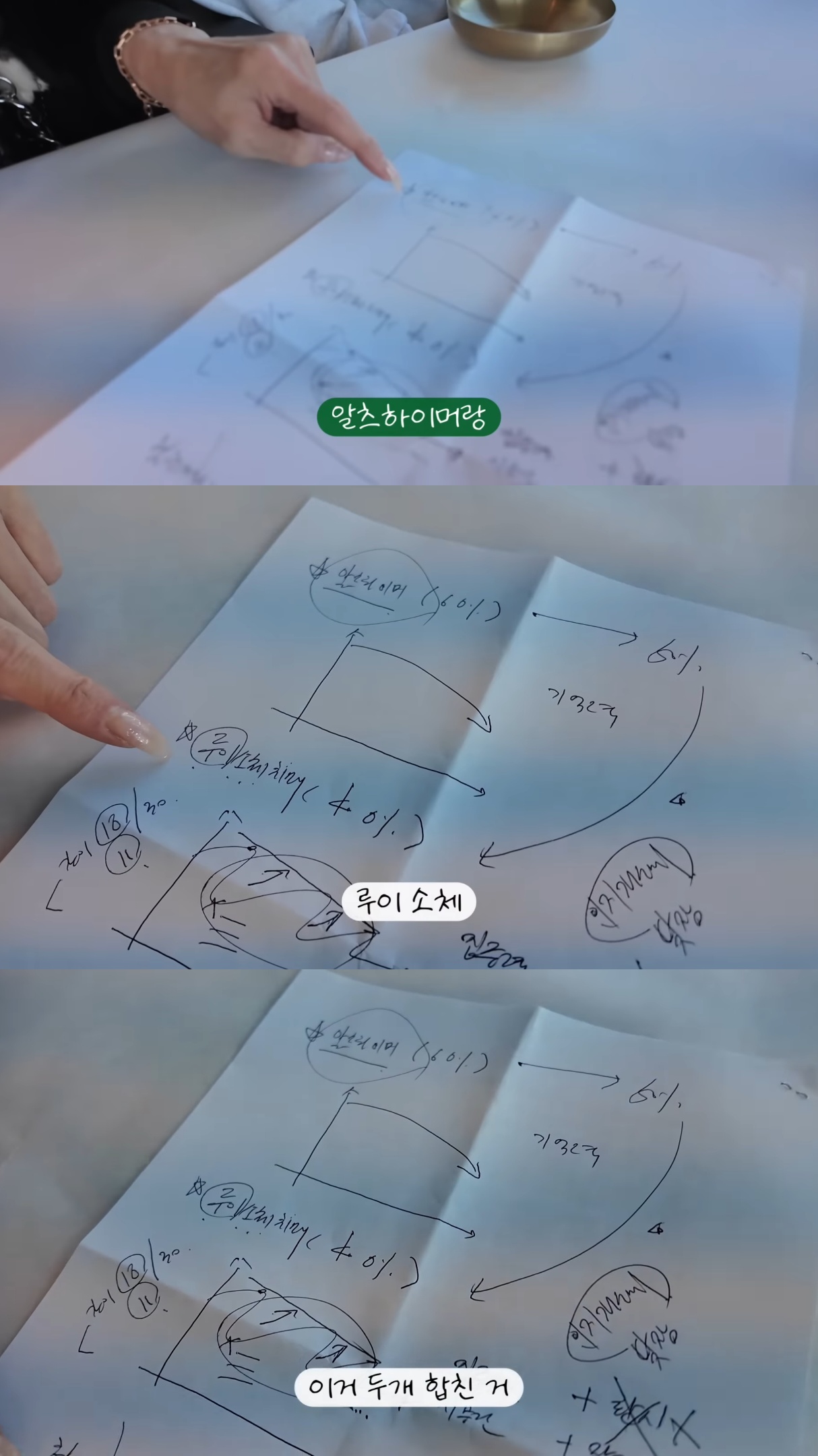 유전이라는-유튜버-삐루빼로-할머니의-치매.jpg-6-이미지