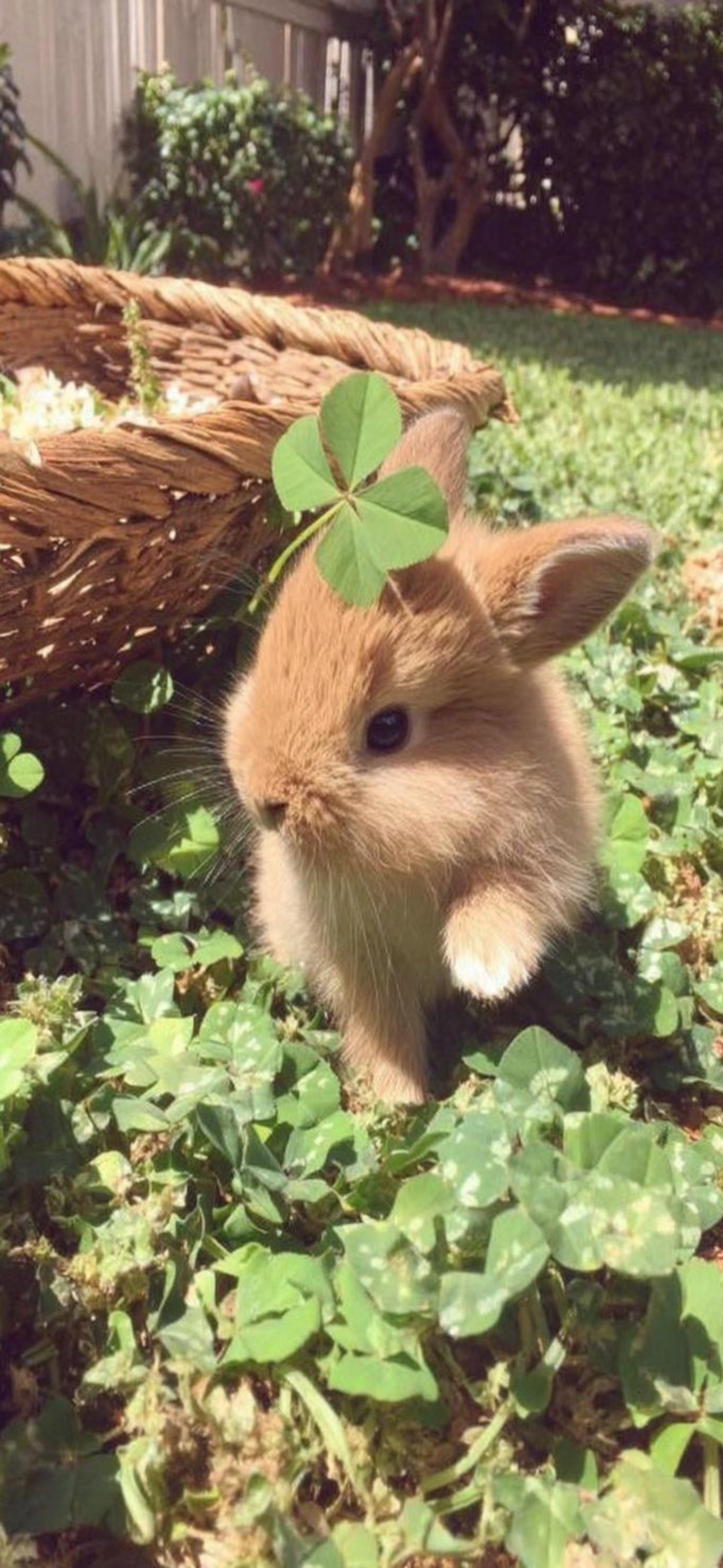 내가-쓰려고-만든-3월-달력-배경화면-41-이미지