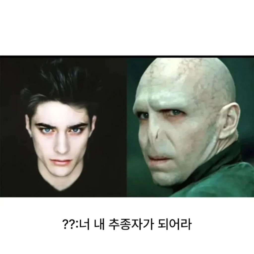 볼드모트가-영생-해보겠다고-포기한-얼굴-1-이미지