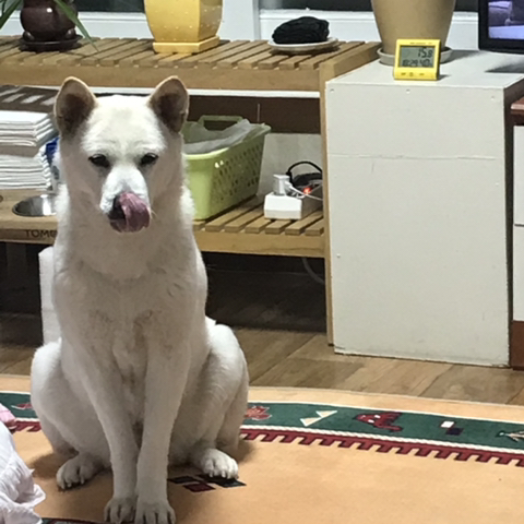 우리-애-아빠-보는-눈빛-봐-46-이미지