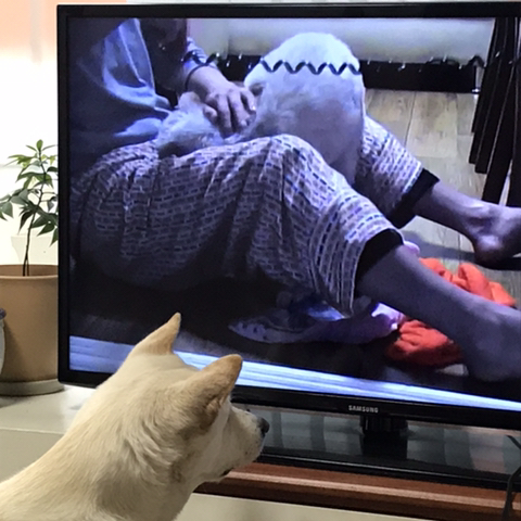 우리-애-아빠-보는-눈빛-봐-23-이미지