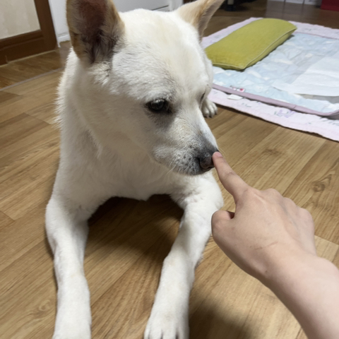 우리-애-아빠-보는-눈빛-봐-85-이미지